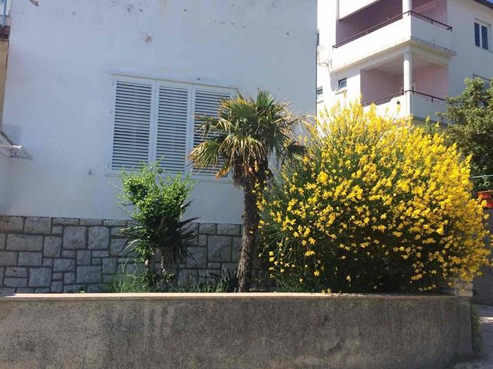 Apartment Ella Banjol المظهر الخارجي الصورة
